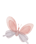 butterflyPNG