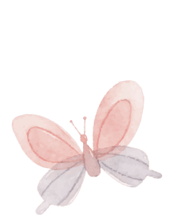 butterflyPNG