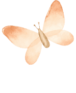 butterflyPNG