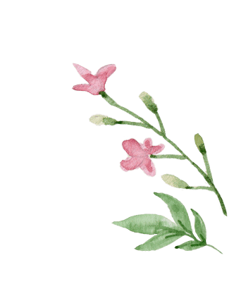 flowerPNG