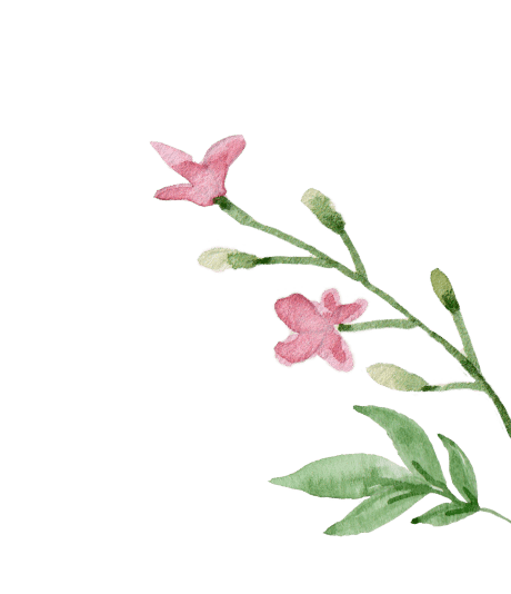 flowerPNG