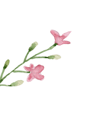 flowerPNG