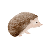 hedgehogSmallPNG