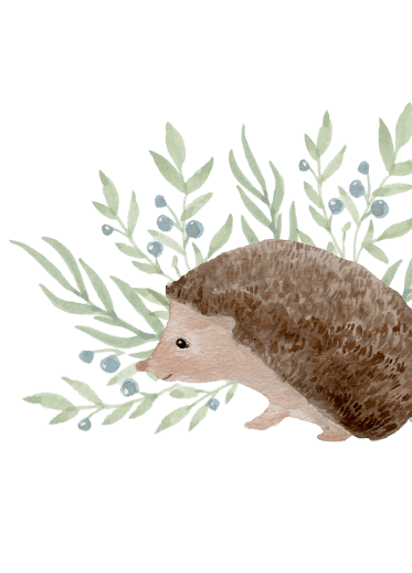 hedgehogPNG