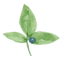 leafGreenPNG