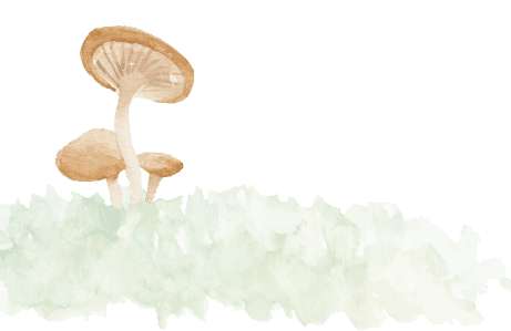 shroomPNG