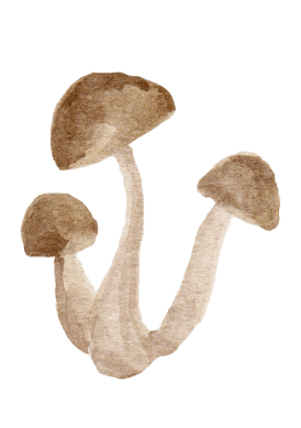 shroomPNG